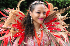 St. Lucia Carnival Tuesday 2017 - Parade of the Bands