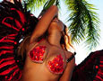 Miami Carnival Parade 2013 Part 2