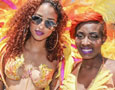 Hollywood Carnival Parade 2014 - Part 3 (Los Angeles)