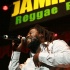 jamrock_reggae_fest07_pt1-025