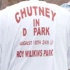 chutney_in_de_park_aug10-036