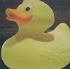 rubber_ducky_aug21-037