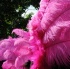 berlin_carnival_fantastic_flamingos_may23-058