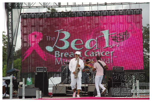 breast_cancer_music_fest_oct31-004