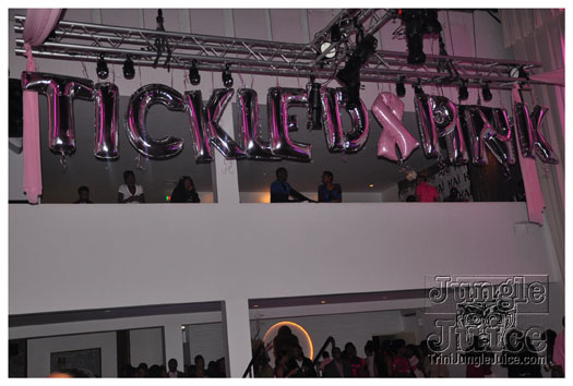 tickled_pink_2010_oct24-003