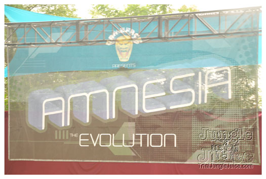 amnesia_new_york_2011-001