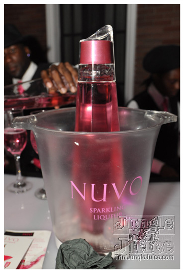 nuvo_pink_launch_apr2-021