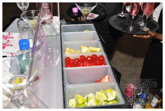 nuvo_pink_launch_apr2-023