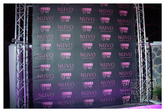 nuvo_pink_launch_apr2-053