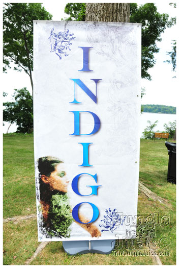 indigo_2011_jun26_pt2-001