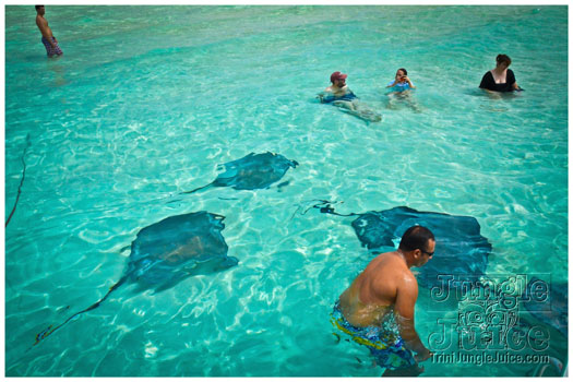 boat_lime_rum_point_stingray_city_may6-009