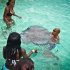 boat_lime_rum_point_stingray_city_may6-016