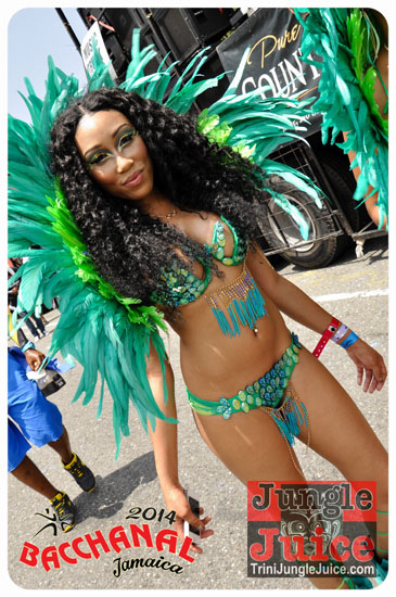 bacchanal_jamaica_road_march_2014_pt1-003