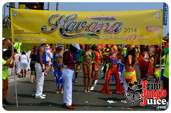 toronto_carnival_parade_2014_pt3-001