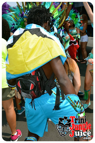toronto_carnival_parade_2014_pt3-011