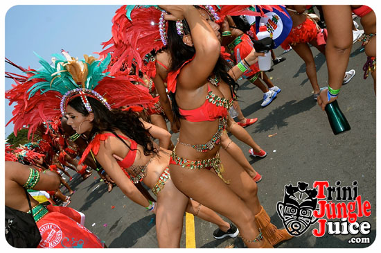 toronto_carnival_parade_2014_pt3-018