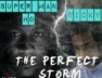 Perfect Storm (Hol On Sumting)