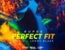 Perfect Fit (feat. Stadic & Jonny Blaze)