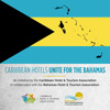 Caribbean Hotels Unite For Online Travel Auction