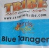 tribe_tue_2009_pt1-134
