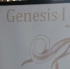 genesis_1_creation_carnival_2011_launch_jan4-005