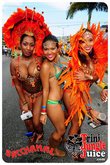 bacchanal_jamaica_road_march_2014_pt5-007