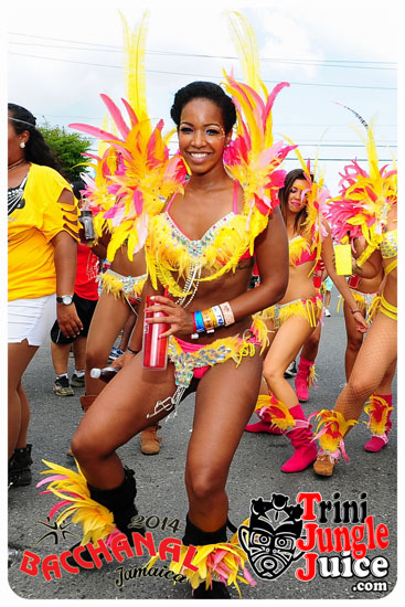 bacchanal_jamaica_road_march_2014_pt5-011