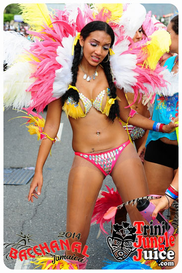 bacchanal_jamaica_road_march_2014_pt5-019