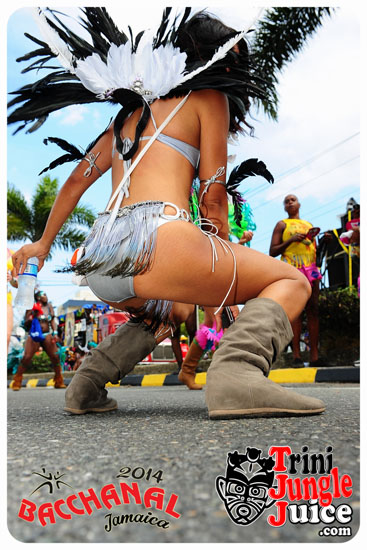 bacchanal_jamaica_road_march_2014_pt5-026