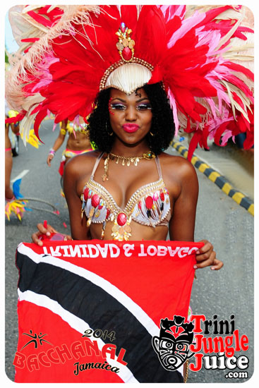 bacchanal_jamaica_road_march_2014_pt5-034