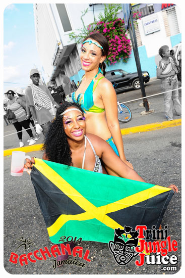 bacchanal_jamaica_road_march_2014_pt6-009
