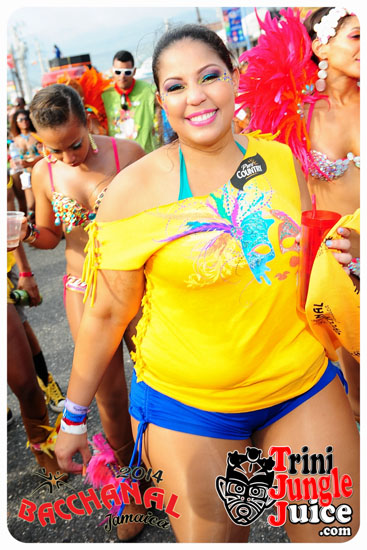 bacchanal_jamaica_road_march_2014_pt6-024