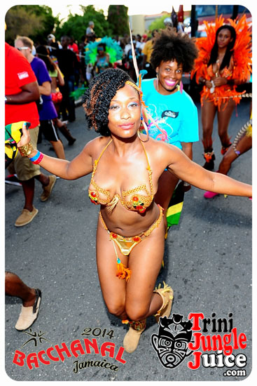 bacchanal_jamaica_road_march_2014_pt7-015