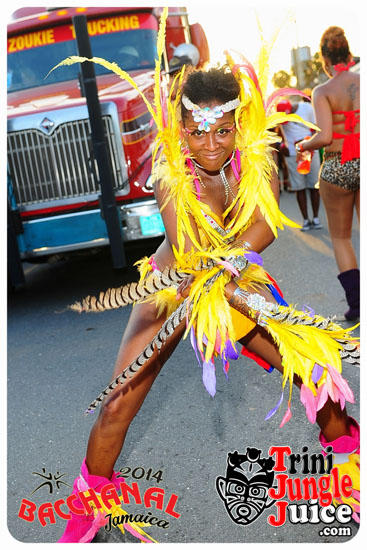 bacchanal_jamaica_road_march_2014_pt7-016