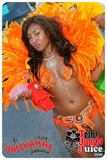 bacchanal_jamaica_road_march_2014_pt7-026